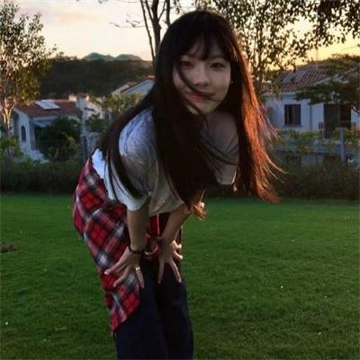 牧羊犬郁金香